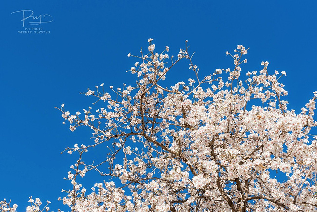 摩洛哥 留住你的不只是风光_马拉喀什旅游攻略