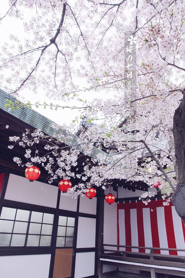 祗园新地歌舞练场