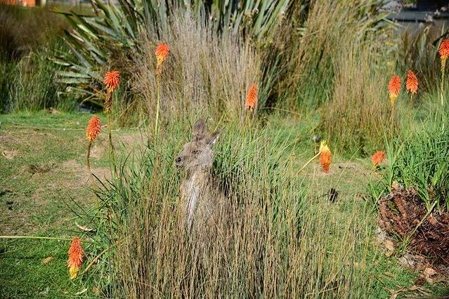 东海岸自然世界