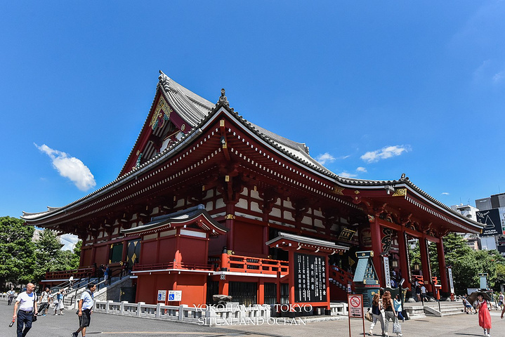 21宝宝对浅草寺的金鱼最感兴趣 因为最后一站是浅草 那浅草寺自然就成了必到之地 浅草寺 评论 去哪儿攻略