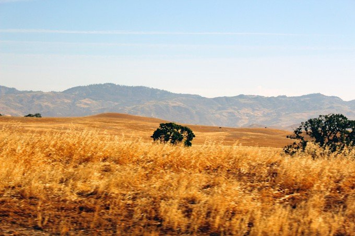 丹麦旅游景点_丹麦旅游收入(2)