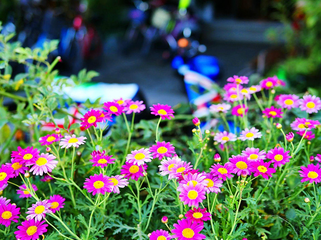 2017洱海是云南最值得去的地方_洱海评论 - 去