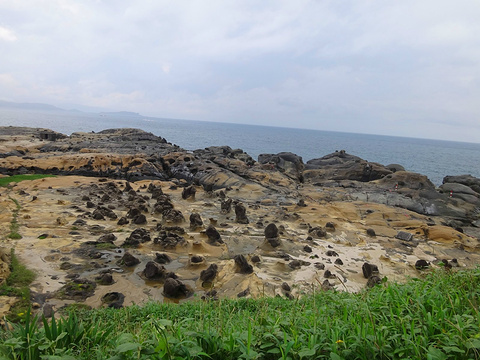 和平岛地质公园旅游景点攻略图