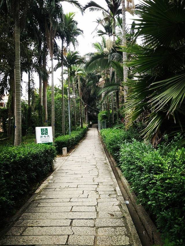 厦门华侨亚热带植物引种园