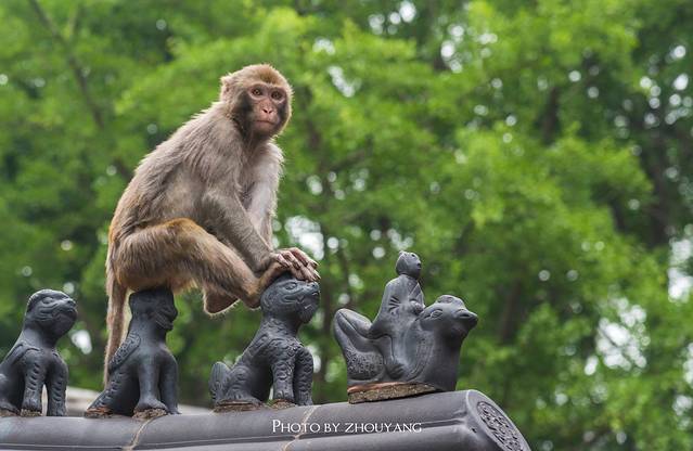 连云港花果山风景区