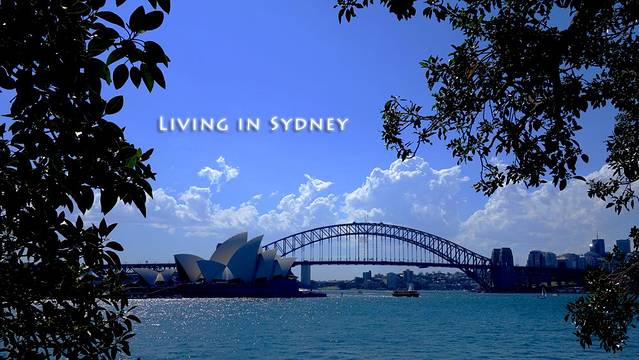 麦考利夫人座椅