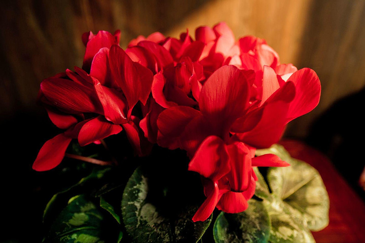 2017个园的亭子有着十分诗意优雅的名字:清漪