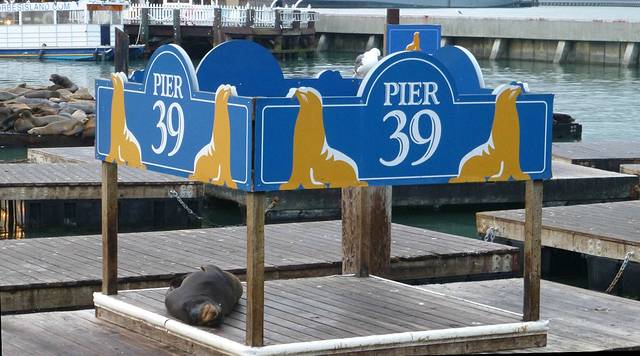 Pier 39