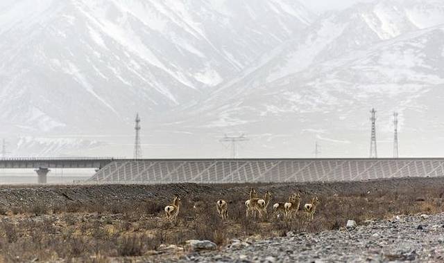 昆仑文化旅游区