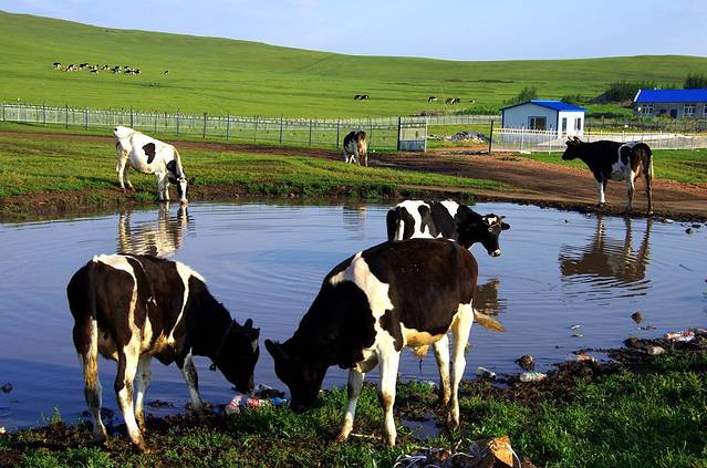 黑山头古城遗址