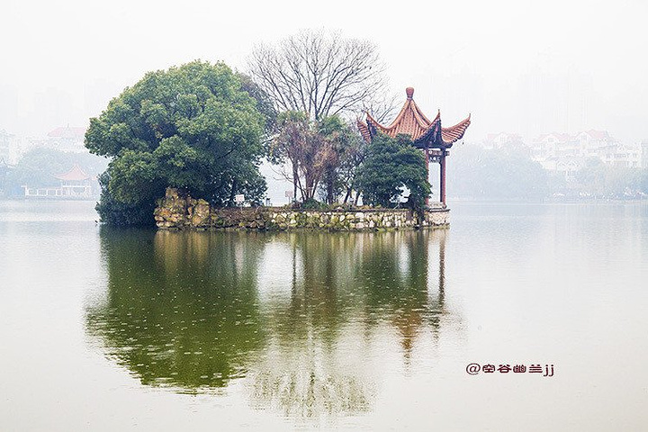 "雨中也有不少的游人打着伞游玩_镜湖公园"的评论图片