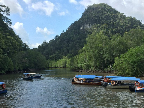 红树林旅游景点攻略图