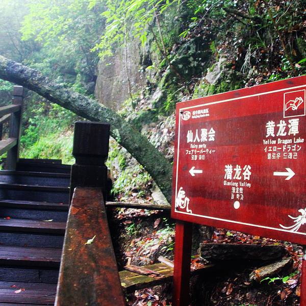 点击图片查看详情 黄山旅游_2018黄山旅游收入(3)