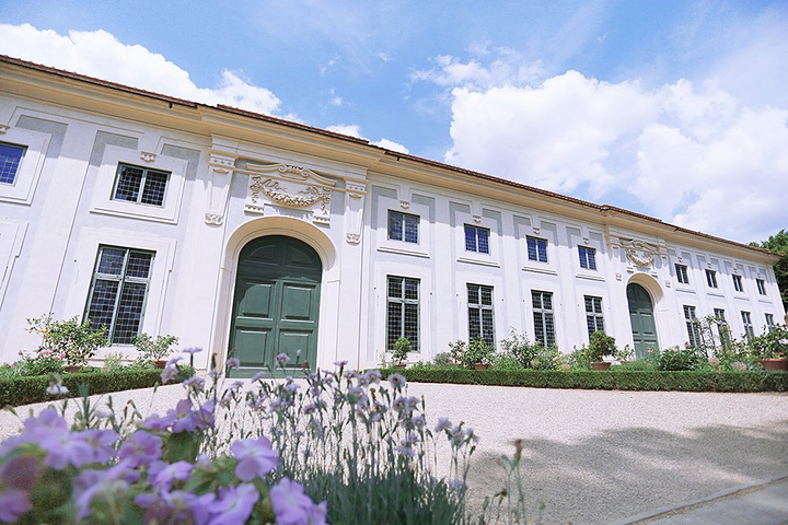 佐罗出发前已经购买了碧提宫和波波里花园Pa