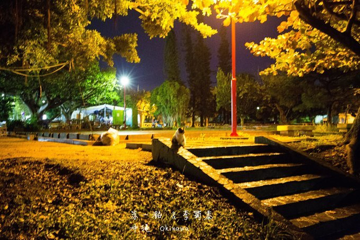 与仪公园yogi park