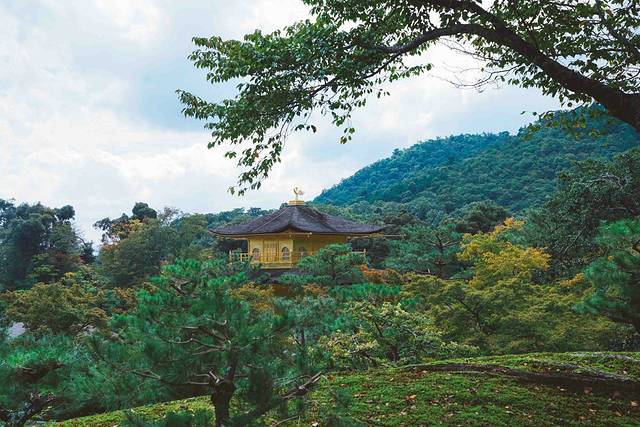 【日本中南部】京都、奈良、大阪串游游记~