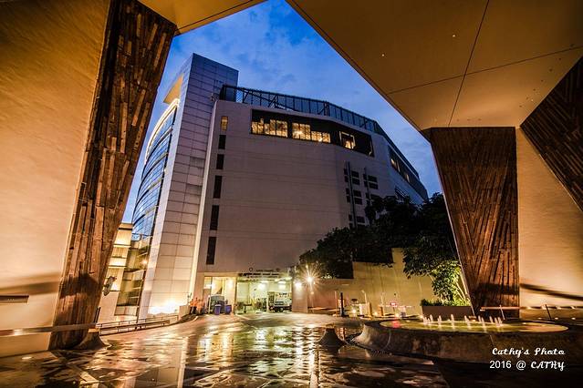 新加坡艺术学院