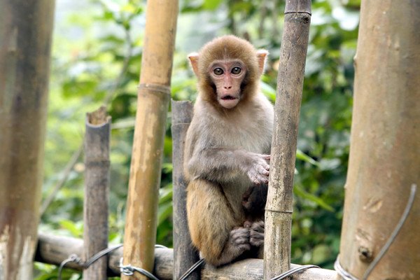 广西龙虎山风景区