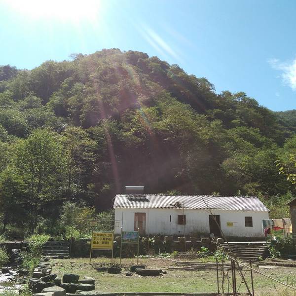 国庆各省旅游收入排行_2018年洛阳旅游收入