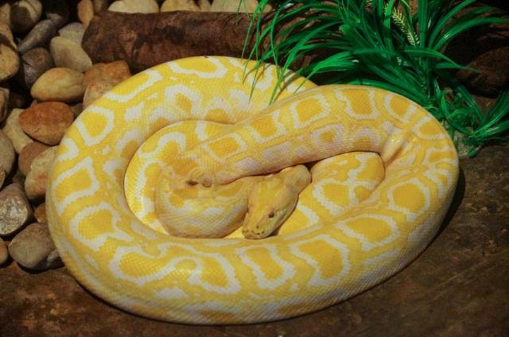 2017愉快结束长隆野生动物世界美妙之旅,难忘