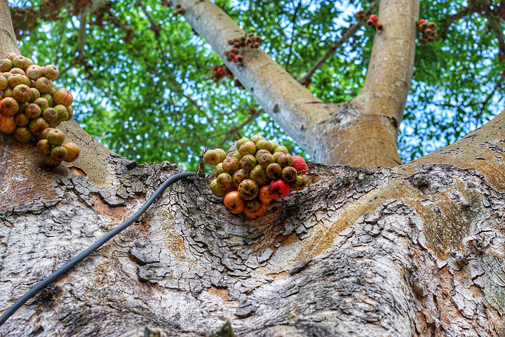 火山温泉多泡也会乏力,到了下午泡温泉池的人越来越多,我们嬉戏得差不