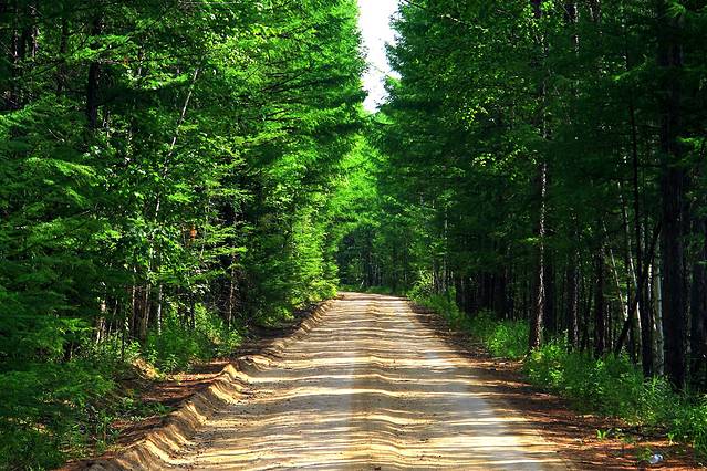 莫尔道嘎国家森林公园