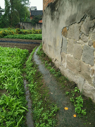 2017还有各种好玩的药,后悔药来一颗?爬到南