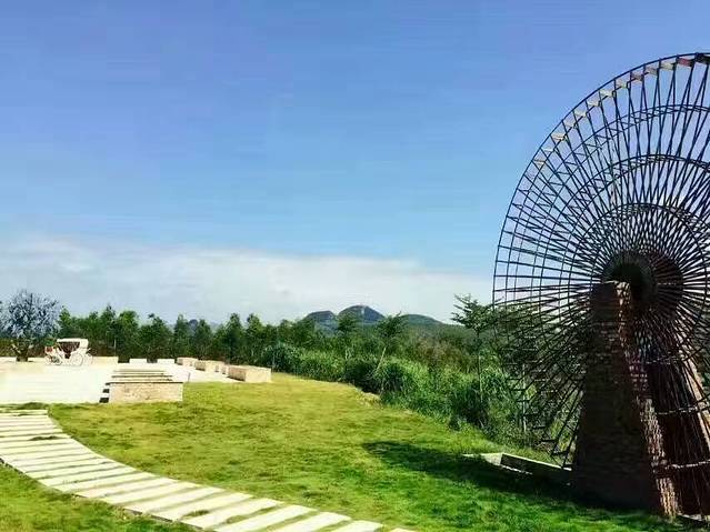 忻城薰衣草庄园