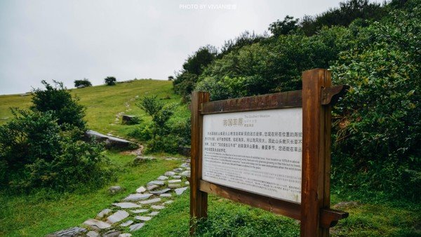 去天然氧吧净化一下自己吧