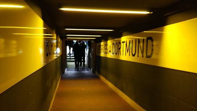 西格纳伊度纳公园