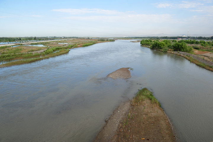 感觉整个伊犁河流经水域面积小了很多,原来的河床上已经新修了堤坝