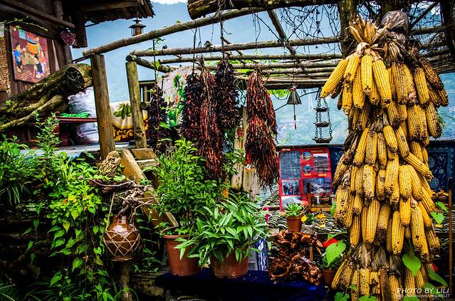 多彩贵州,独自黔行