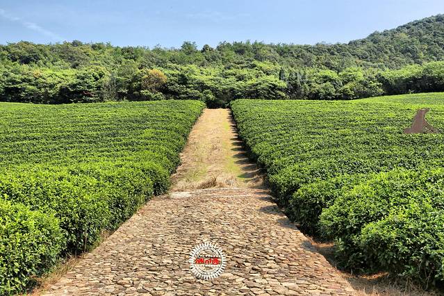 龙池山自行车公园