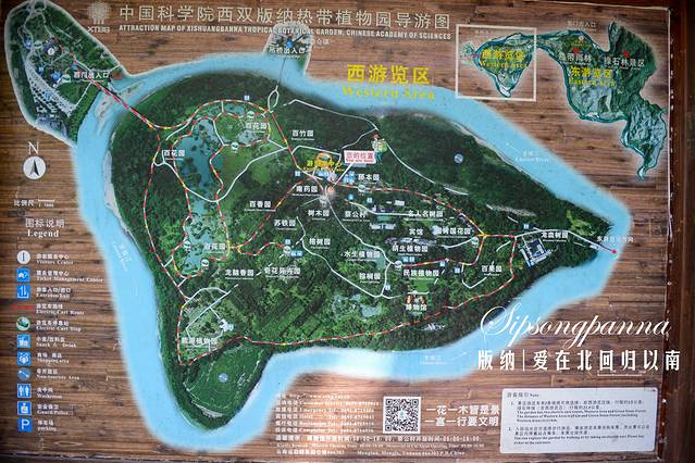 地址:西双版纳勐腊县勐仑镇.昆曼公路勐仑出口往勐仑方向1.