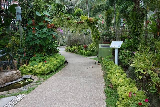 普吉岛--来芭东海滩沐浴阳光,赏碧海蓝天