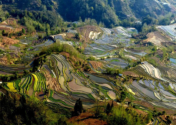 "这里是元阳山势最险峻、气势最恢宏壮观的梯田，堪称“大地雕塑”的典范。摄于元阳老虎嘴梯田景区_老虎嘴景区"的评论图片