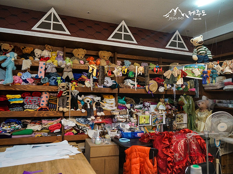 泰迪熊野生动物国旅游景点图片