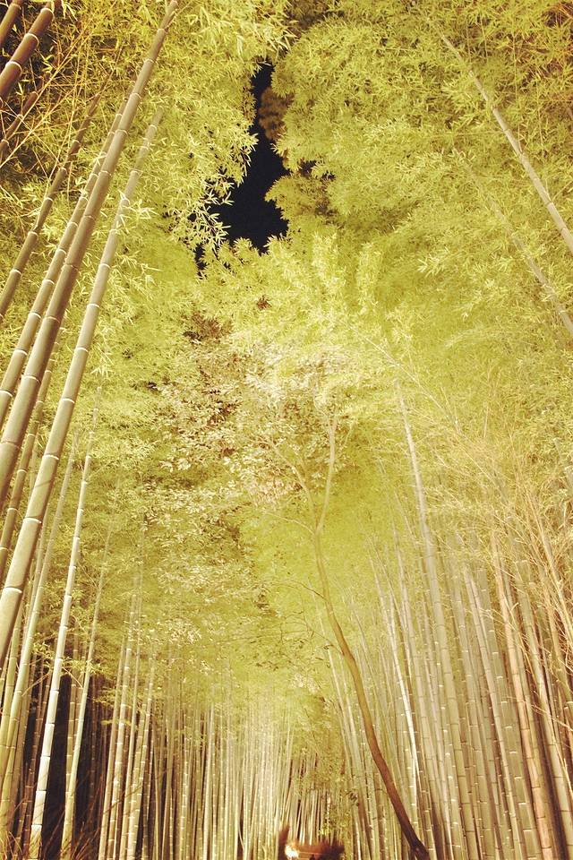 YUDOFU RESTAURANT "SAGANO"