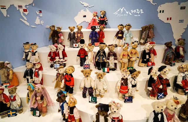 泰迪熊野生动物国