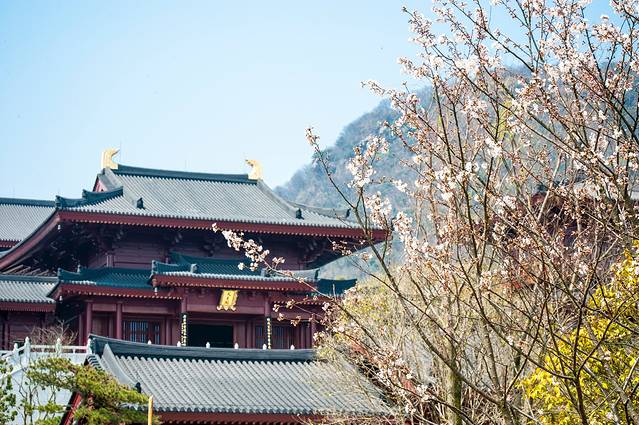 牛首山文化旅游区