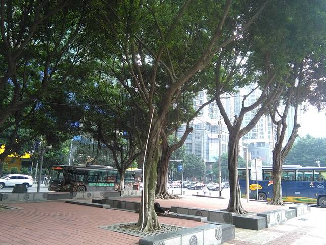 天河东站绿化广场