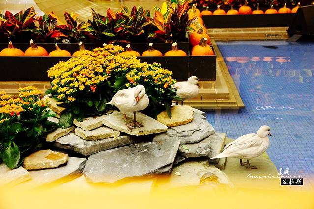 北方公园中心商场