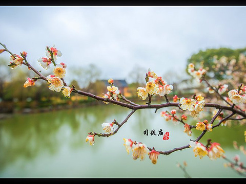 司徒庙旅游景点图片