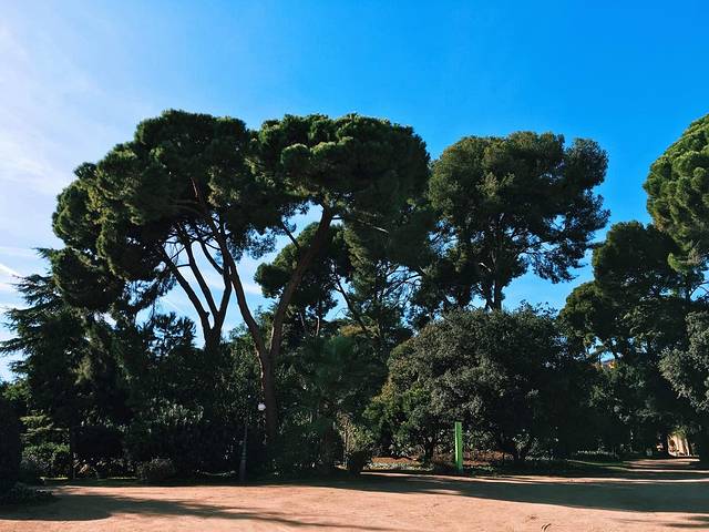 游览阿姆斯特丹.巴塞罗那