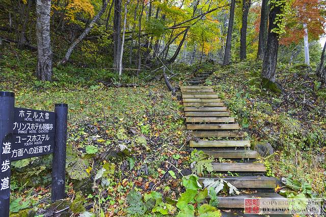 大雪山国立公园