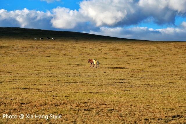 太仆寺御马苑旅游区