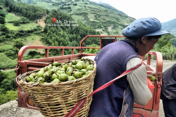 同乐傈僳族村寨