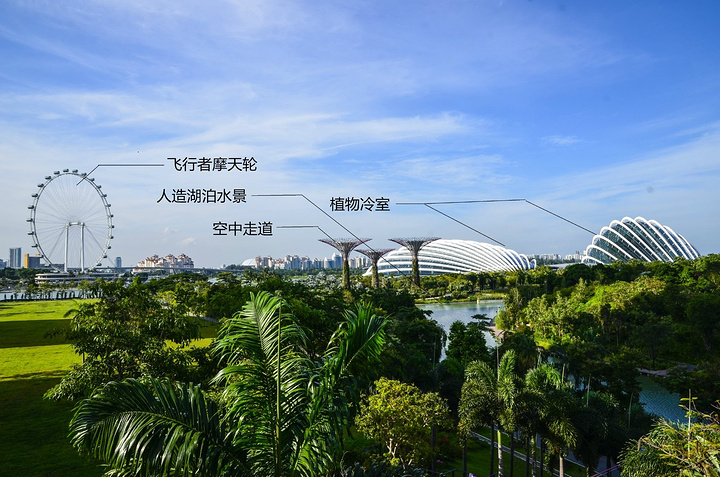 丰满五十路人妻在线播放