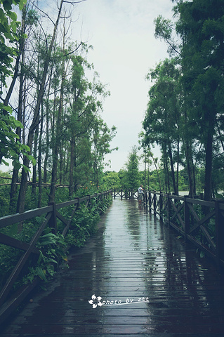 "风景还是蛮不错的，这时候天气开始有点阴沉，感觉要下雨了。停下来，看看风景，喝个水呗_海珠国家湿地公园"的评论图片