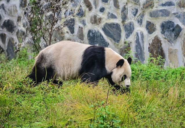蜂桶寨邓池沟景区